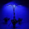5V Full Spectrum Plant Light with Adjustable Tripod Stand Red Blue Floor Grow Lamp LED Grow Lights for Indoor Plants