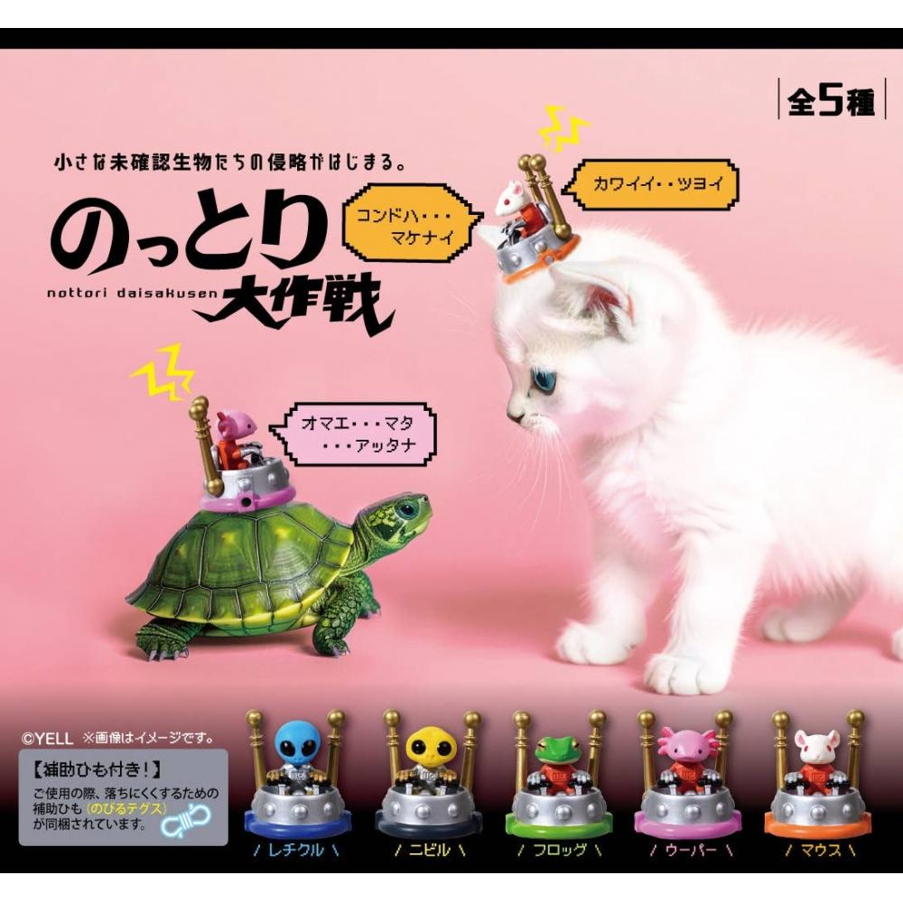

Null Nottori Daisakusen 1box 10pcs