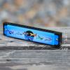 Educational Painted Harmonica Metal Mouth Organ Wind Instrument 16 Holes Harmonica  Kids Toy