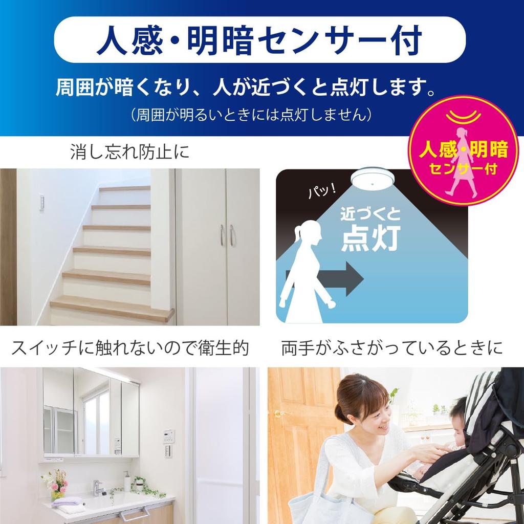 OHM LED Interior Entrance Light, Daylight | OHM Electric LT-Y18D-GB-PIR 06-5570