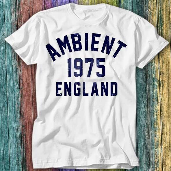 

Ambient Music 1975 Brian Eno The Orb Synthesizer T Shirt Top Tee 372 S