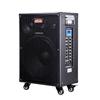 Migaoband MG1562A Portable Speaker System with M8 Wired Microphone CN plug (adapter included)