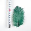 10Pcs Natural White Ostrich Feathers 10-15cm 15-20cm 25-30cm 30-35cm Wedding Party Home Decoration Ostrich Plumes Craft Supplies