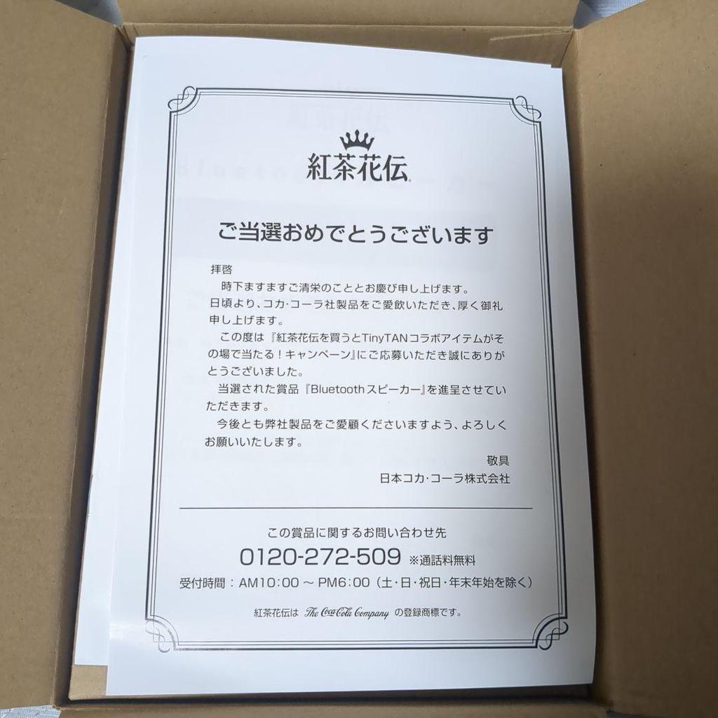 [USED] Not for Sale: Kochakaden TinyTAN BTS Speaker by Jung Kook