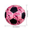 1pc Pink Dinosaur Art Lightweight PVC Training Soccer Ball, Size 5, Suitable for Indoor and Outdoor TrainingGift Y60398