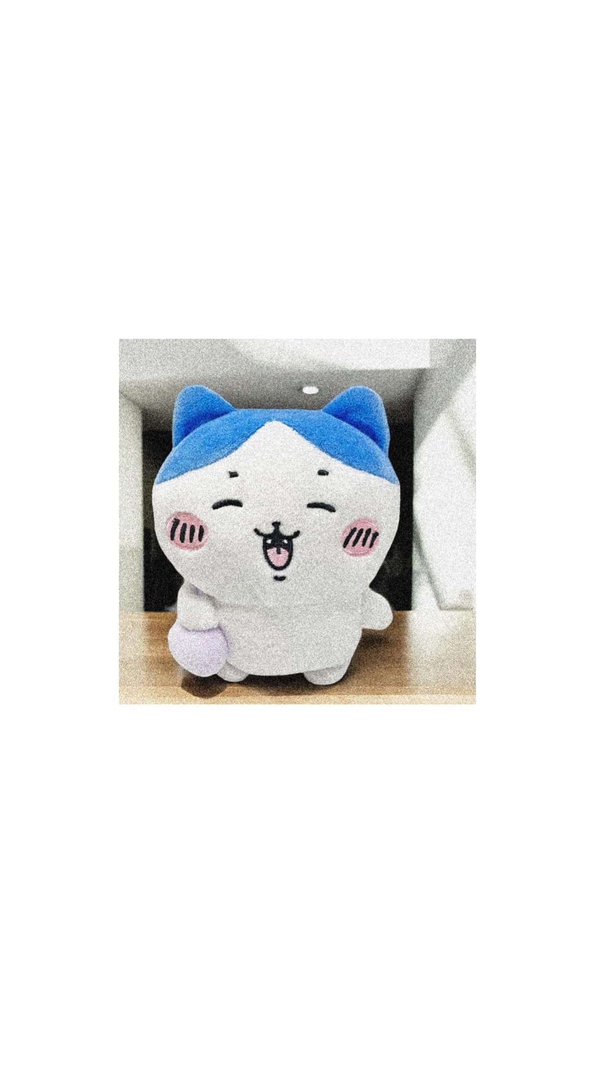 

Chiika Harvesting Plush Toy, Approximately 16cm, Hachi Flying Squirrel Mascot, Official Merchandise (Hachi)