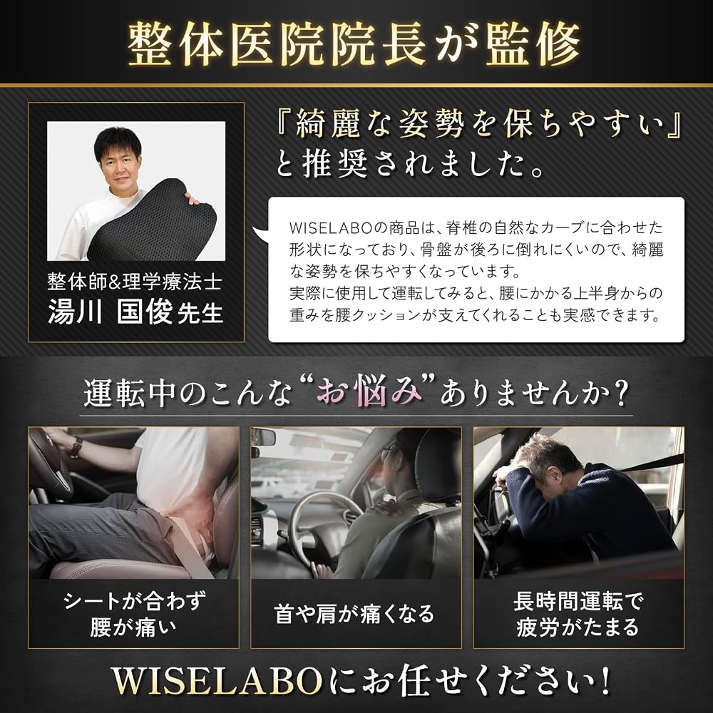 WISELABO [Supervised by a Chiropractor] Lumbar Support Cushion for Car Backrest, Low Rebound Mesh,