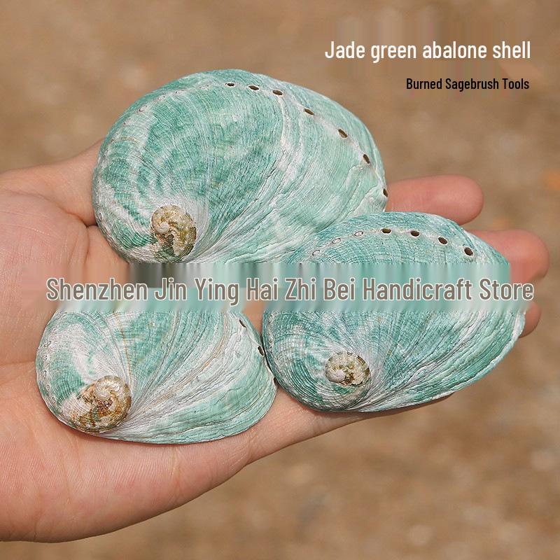 Guscio di Abalone Naturale per Arredamento Casa, Acquari, Paesaggistica e Bruciare Salvia