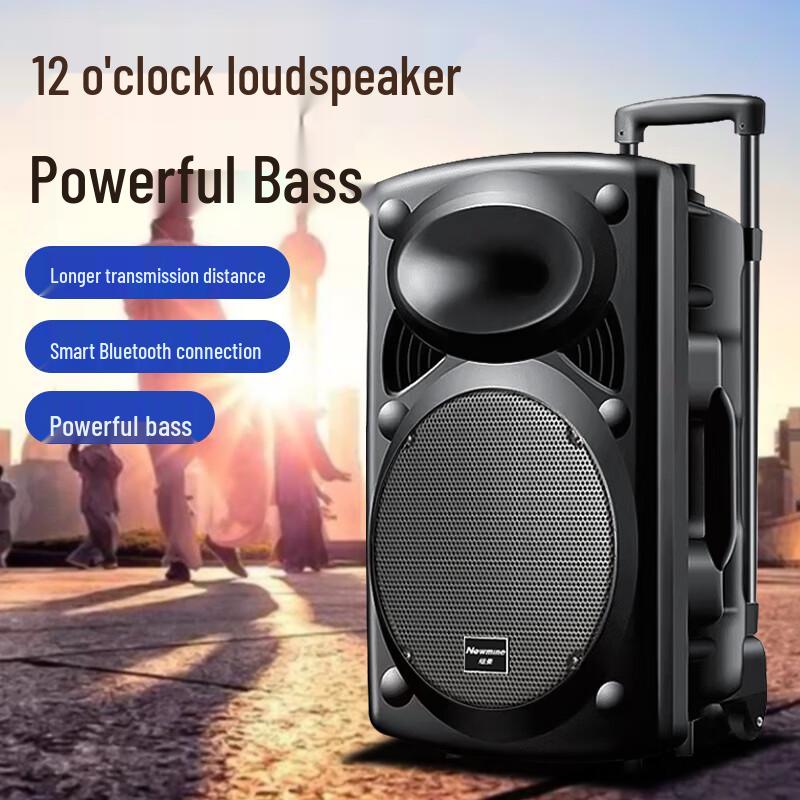 Newsmy B12 Portable 12-inch Bluetooth Trolley PA Speaker CN plug (adapter included) (CN version)