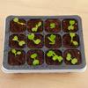 Seedling Box 12 Holes Sowing Nursery Pots Insulation with Lid Succulent Plant Seed Sprout Germination Seedling Pot Wholesale