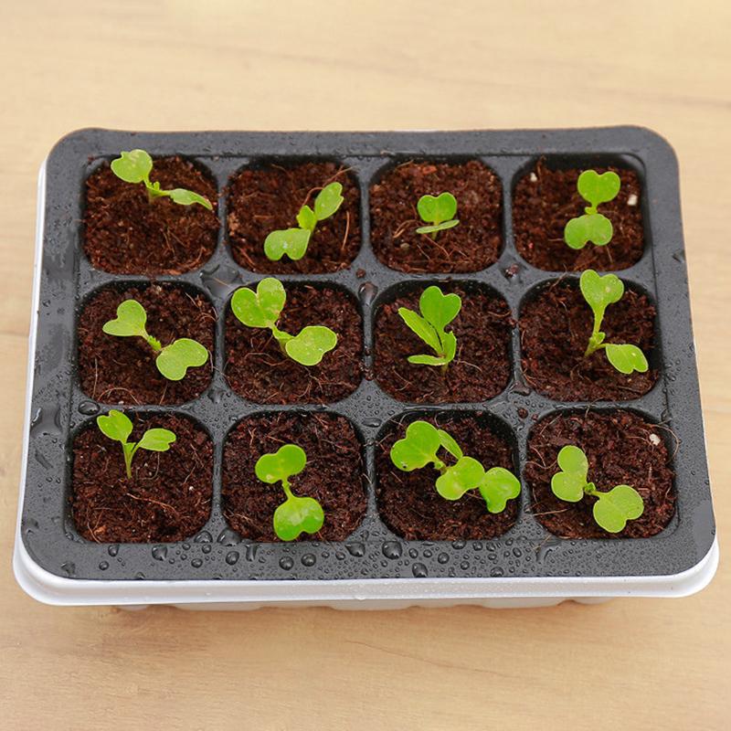 Seedling Box 12 Holes Sowing Nursery Pots Insulation with Lid Succulent Plant Seed Sprout Germination Seedling Pot Wholesale