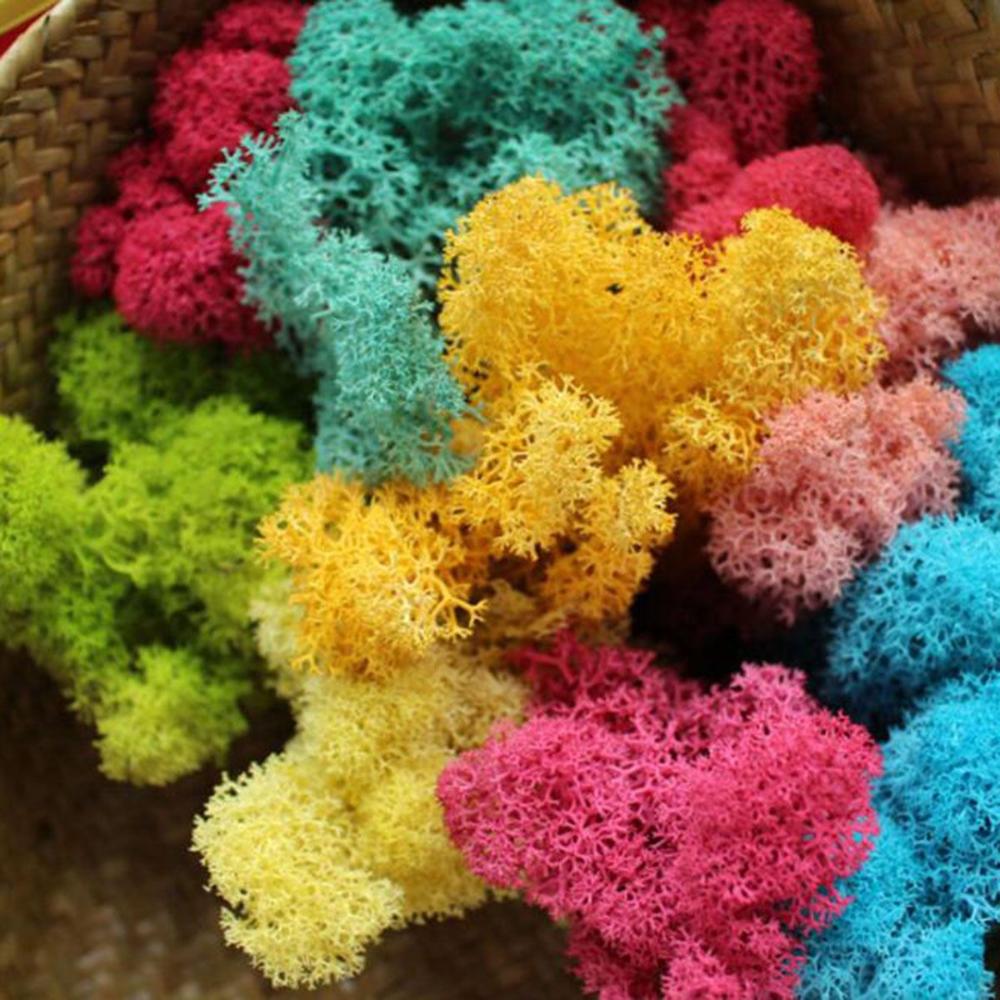 Decor Christmas Wedding Decoration Artificial Plant Reindeer Moss Micro Landscape Eternal Life Moss