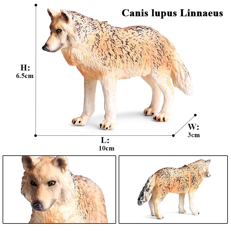 Oenux Wild Beast Animals Small Gray Wolf Maned Wolf Baby Wolves Simulation Model Action Figures Collection PVC Gift Kid Toy Gift