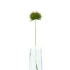 Hill Interiors Moss Stem Artificial Flower