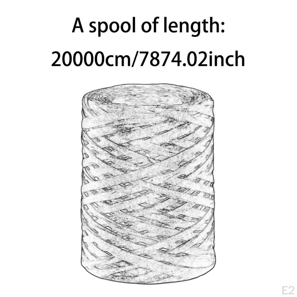 200M Raffia Twine Paper Rope for Craft Projects and Gift Wrapping