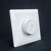 AC 220V Dimmer Switch with Ceiling Fan Speed Control Wall Button for Personalized Lighting and Comfort in Any Room