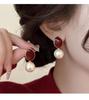 2026 Autumn and Winter High-End Earrings