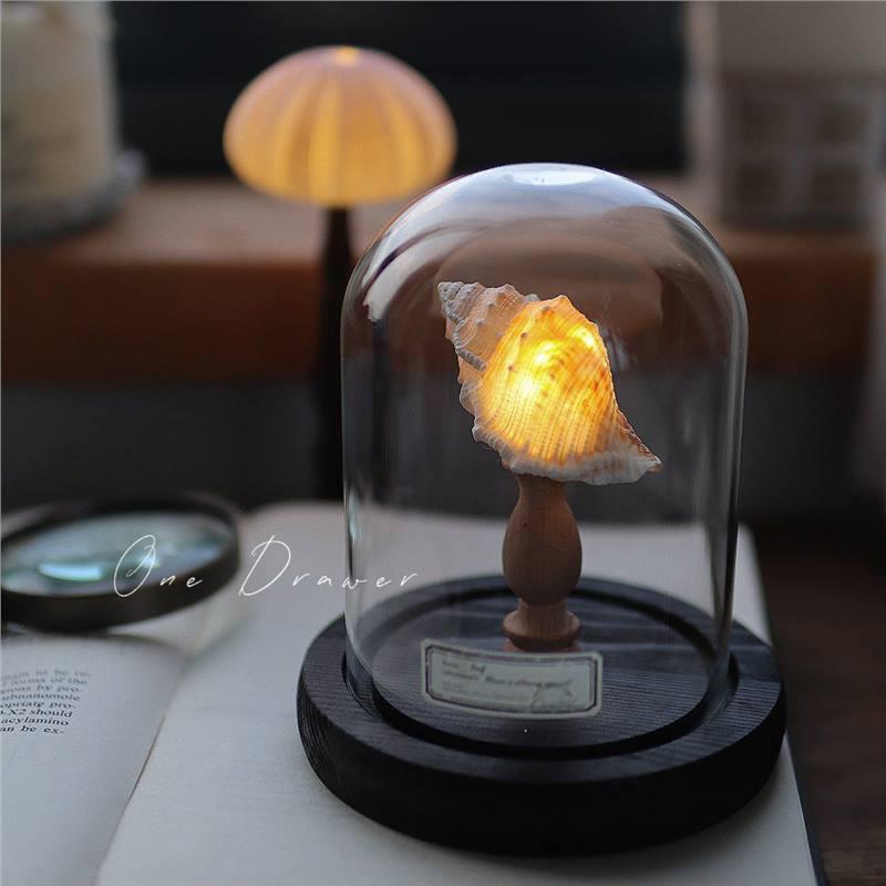 

Handmade Retro Seashell & Sea Urchin Conch Night Light Ornament Approximately 220g per set