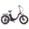 FAFREES F20 Pro Electric Bicycle 250W Motor, 36V 18Ah Battery, 20*3.0 Inch Tire, IP54 Waterproof, 80-100KM Range E-bike