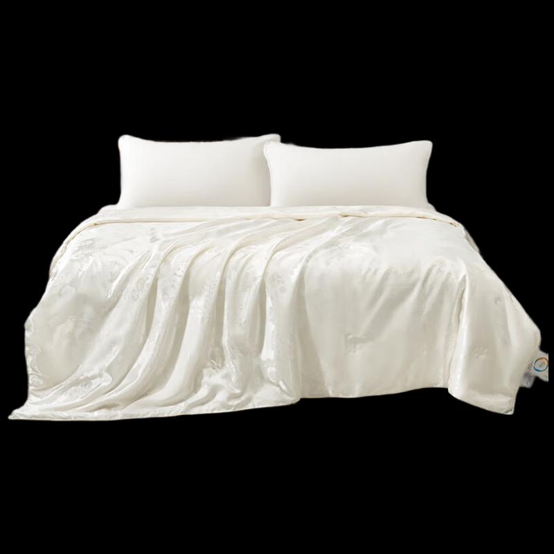 Mercury Home Textiles Cloud Soft Four Seasons Quilt