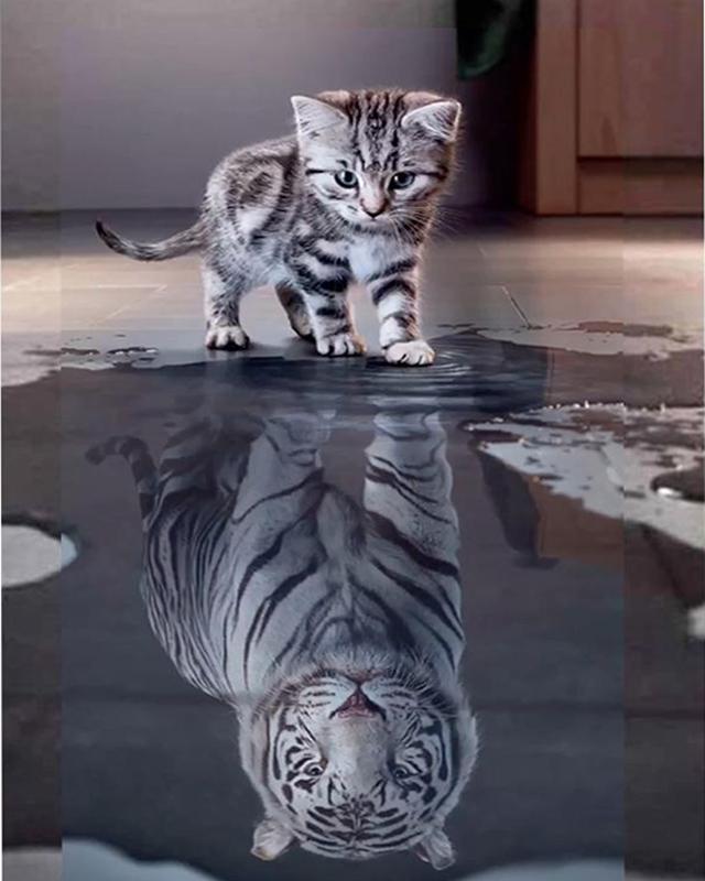 Diamond Painting Full Flower Tree Cat 5D DIY Diamond Embroidery Full Set Sale Animal Cross Stitch Rhinestones Mosaic Handicraft