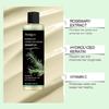 Rosemary Shampoo for Thinning Hair, Rosemary Leaf Oil Shampoo, Plant Oil Control Shampoo, Fluffy and Refreshing Shampoo