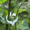 100/200/300 Pcs Plant Clips Plastic Plant Support Clips Reusable Tomato Trellis Clips for Climbing Plants Vines Cucumbers Indoor Outdoor Use