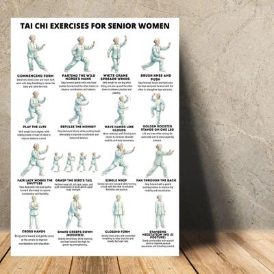 Conjunto de 3 Pôsteres Guia de Exercícios de Tai Chi para Idosos Iniciantes Gráfico de Treino de Tai Chi para Idosos Baixo Impacto Equilíbrio Mobilidade Prática em Casa