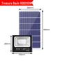 Solar Powered RGB Outdoor Floodlight