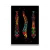 Anatomia Umana Muscoli DNA Neuro Arte Murale Pittura su Tela Poster e Stampe Mappa del Corpo Immagini Murali Educazione Medica Decorazione per la Casa