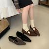 2025 retro design lazy niche autumn and winter new square head small slope heel T belt Mary Jane single shoes