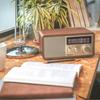 SANGEAN WR-302 Bluetooth Speaker with FM/AM Radio, Walnut [Bluetooth Compatible]