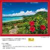 YANOMAN In Jigsaw Sea and Summer Ishigaki Island Includes Piece Request Service and Jigsaw Puzzle Instruction Manual [Made Japan] 500-piece Puzzle,