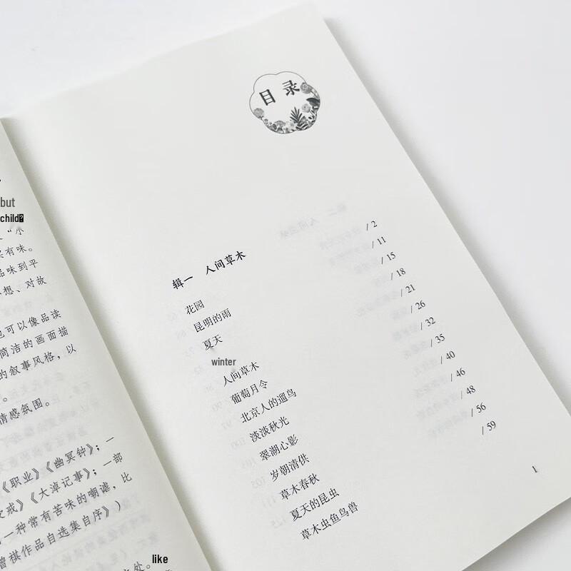Kunming's Rain: Junior High Chinese Reading