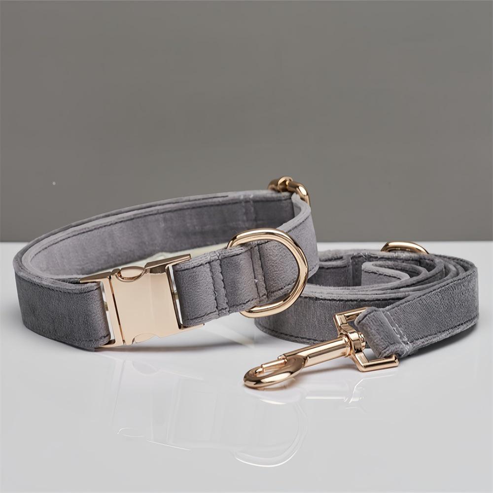 Ensemble collier et laisse pour chien en velours gravé avec boucle métallique réglable