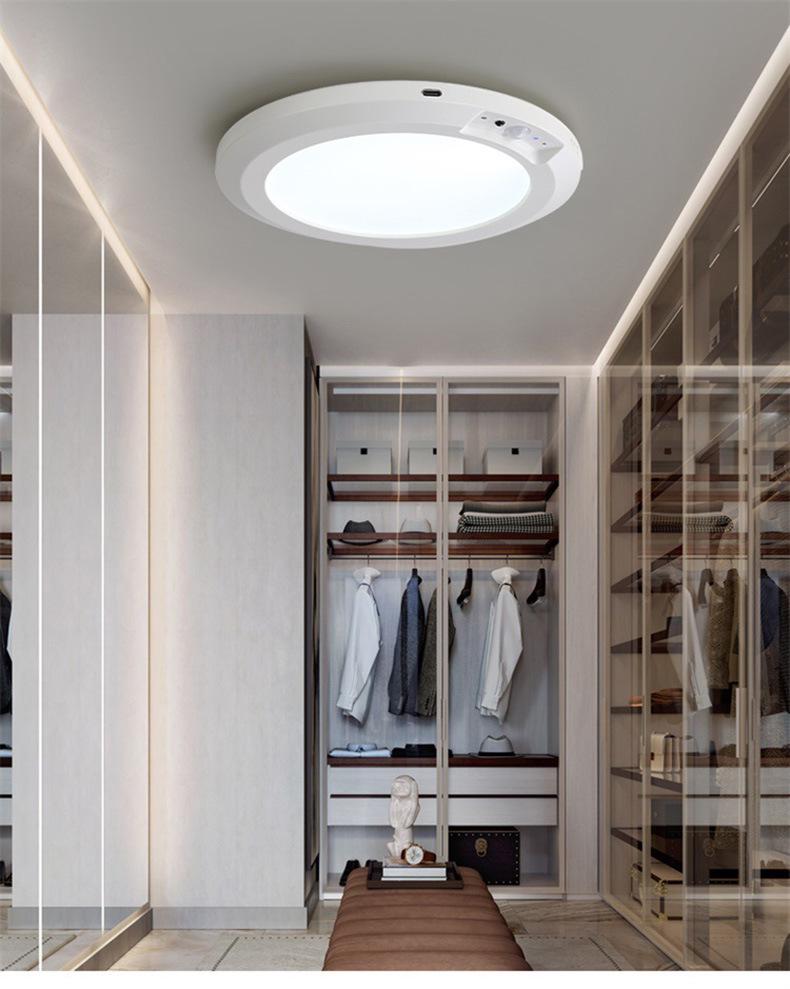 Rechargeable Motion Sensor Ceiling Light for Home Decor & Corridor Ambiance
