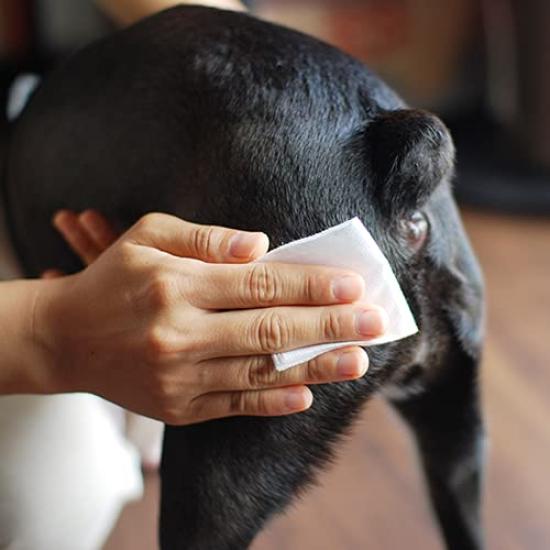 WAFONA Deodorizing and Disinfecting Skin Professional for Whole Body and Deodorizing All-in-One Spray, Care, Size, 4000ml, Care, Disinfecting, (Dog