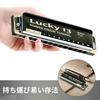 East Top Harmonica Blues Harmonica 13 Hole A Key Jazz Professional Adults Children Study Practice Brass Cover Canvas Case Lucky13 (PowerDraw-A)