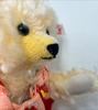 [USED] Steiff HINA Teddy Bear with Battledore