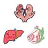 Alloy Brooch Decorative With Creative Organ Shape Unique Liver Heart And Lung Design For Every Enthusiast Fashion