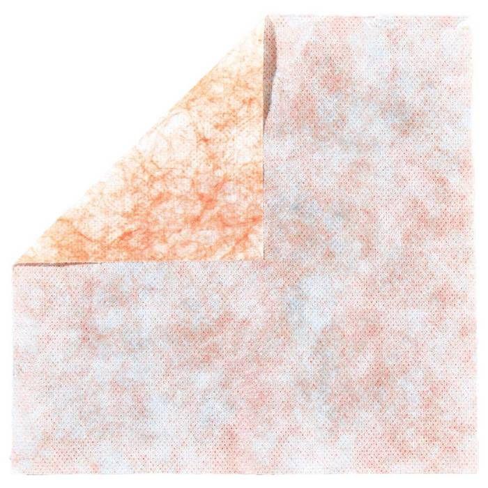 Fischer 567456 Xtreme Lingettes nettoyantes Nombre: 100 pc(s)