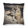Meerkats Australia Square Pillowcase Polyester Linen Velvet Printed Zip Decorative Bed Cushion Cover