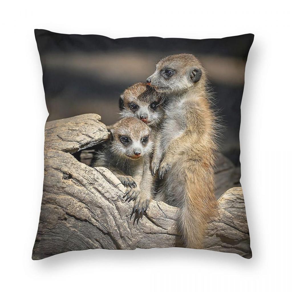 Meerkats Australia Square Pillowcase Polyester Linen Velvet Printed Zip Decorative Bed Cushion Cover