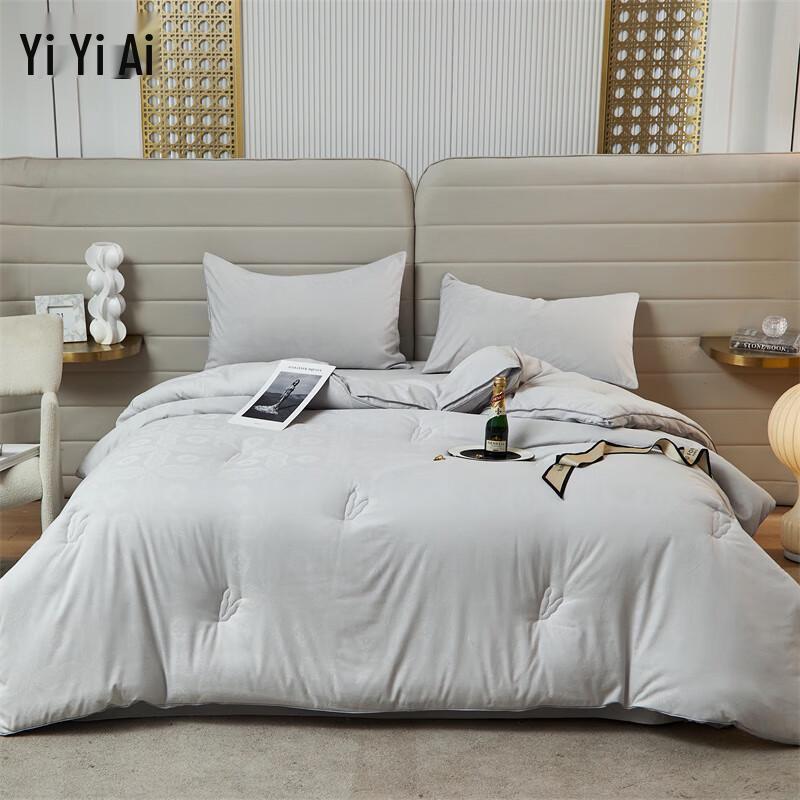 YIYIAI Brushed Jacquard Soy Winter Quilt