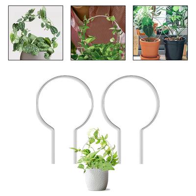Robust Support For Plants Robust Climbing Frame Acrylic Plant Climbing Frame Artistic Touch For Plant Arrangements