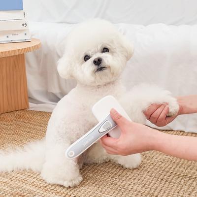 Oblipet ABS Material Dog Comb Slicker Brush, Korean Pet Shampoo
