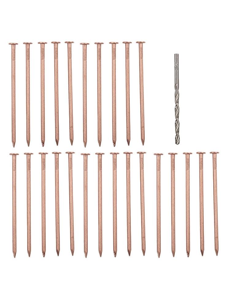Effective Copper Nail Spikes 4 Inch Length for Tree and Stump Root Management