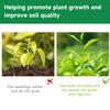 Universal Indoor Potted Plant Fertilizer Slow Release Organic Nutrient with Nitrogen And Phosphorus for Flowering Succulents