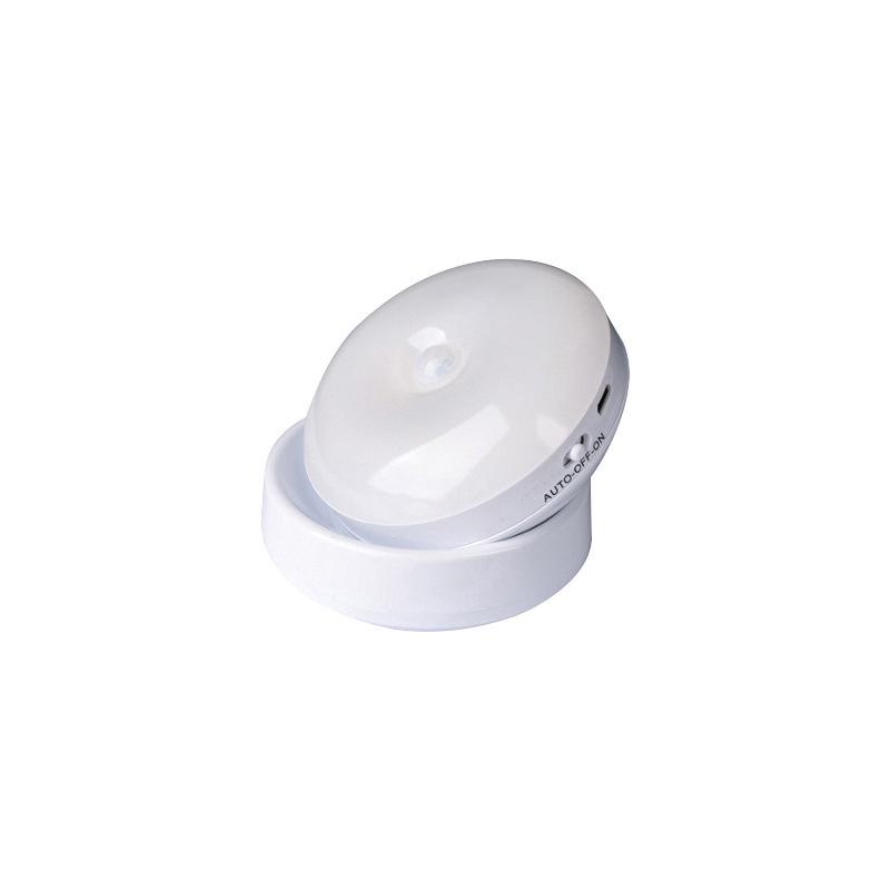 Voice-Controlled LED Night Light with Motion Sensor for Home