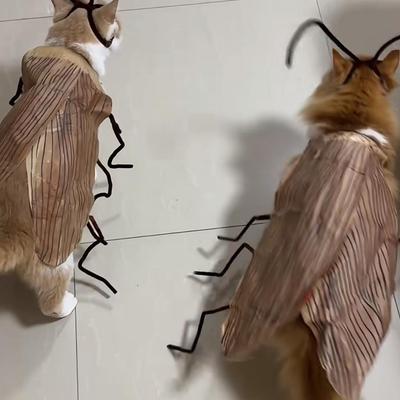 Cat Cockroach Costume –Cat Cockroach Clothing DIY Kit for Halloween, Funny Kitten Cape Craft Set with Wings and Antennae